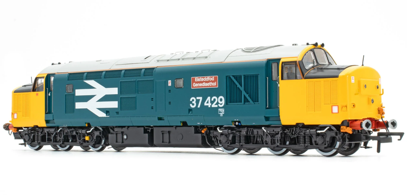 Accurascale Class 37 429 Eisteddfod Genedlaethol